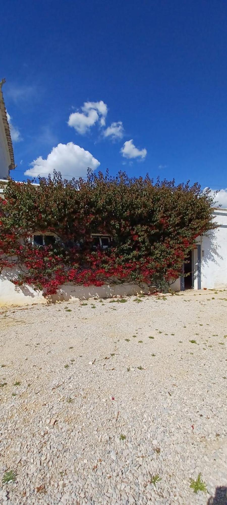 Quinta De Loubite - Lagoa, Algarve, Portugal 拉戈阿 外观 照片