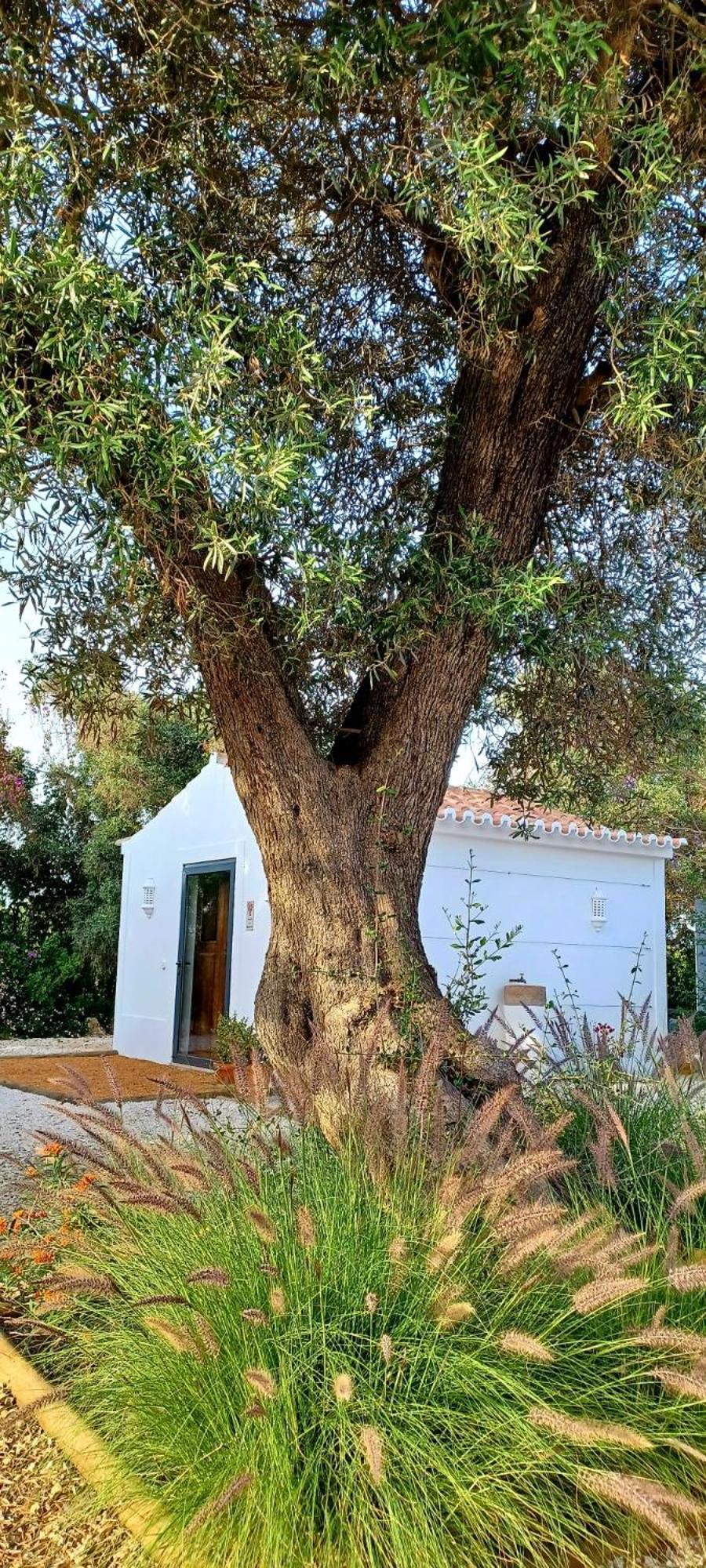 Quinta De Loubite - Lagoa, Algarve, Portugal 拉戈阿 外观 照片